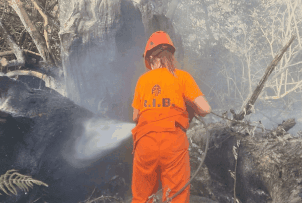 Volontari di protezione civile in attività antincendio boschivo – corso Operatore AIB Sinteco srl, Calabria