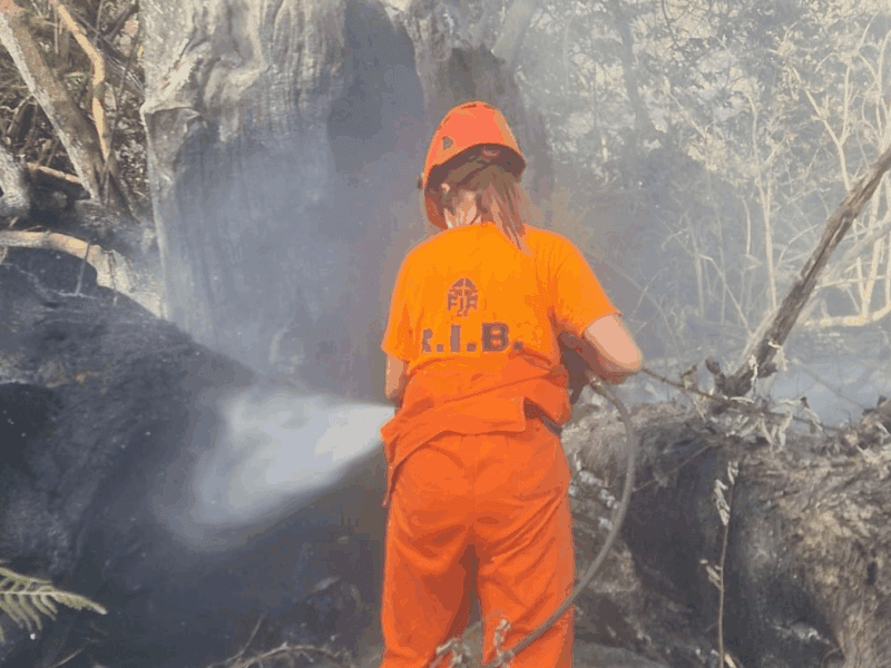 Volontari di protezione civile in attività antincendio boschivo – corso Operatore AIB Sinteco srl, Calabria